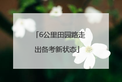 6公里田园路走出备考新状态