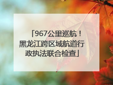 967公里巡航！黑龙江跨区域航道行政执法联合检查