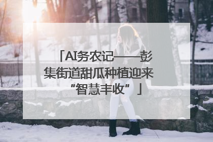 AI务农记——彭集街道甜瓜种植迎来“智慧丰收”