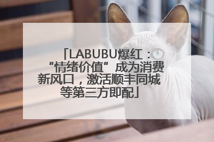 LABUBU爆红：“情绪价值”成为消费新风口，激活顺丰同城等第三方即配