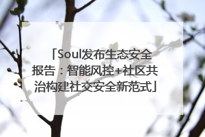 Soul发布生态安全报告：智能风控+社区共治构建社交安全新范式