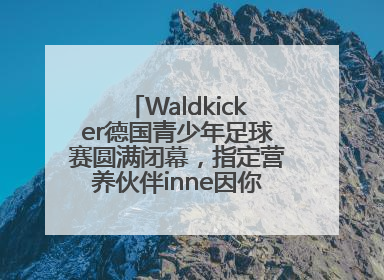 Waldkicker德国青少年足球赛圆满闭幕，指定营养伙伴inne因你陪伴少年前行