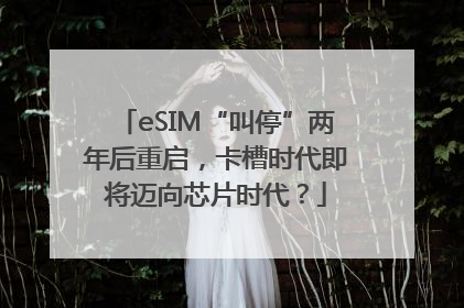 eSIM“叫停”两年后重启，卡槽时代即将迈向芯片时代？